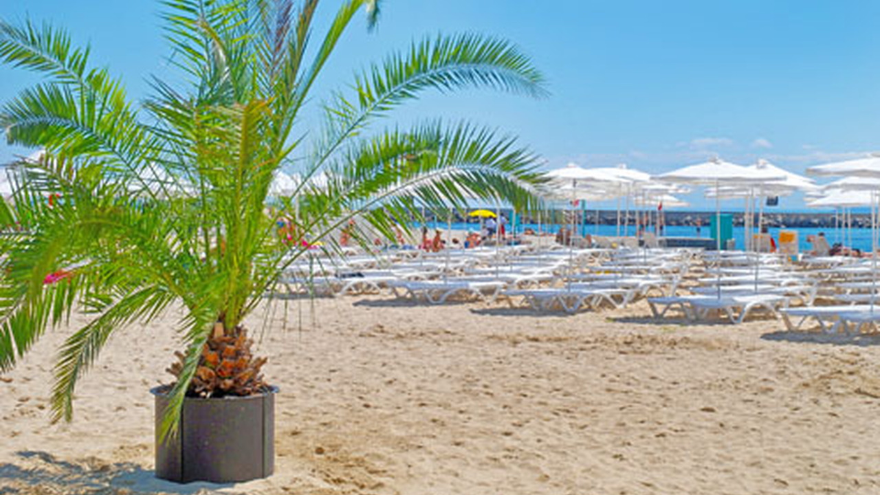Dolphin Grand Varna