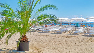 Dolphin Grand Varna