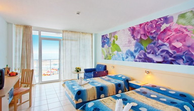 Dolphin Marina