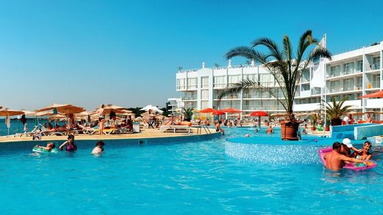 Dolphin Marina