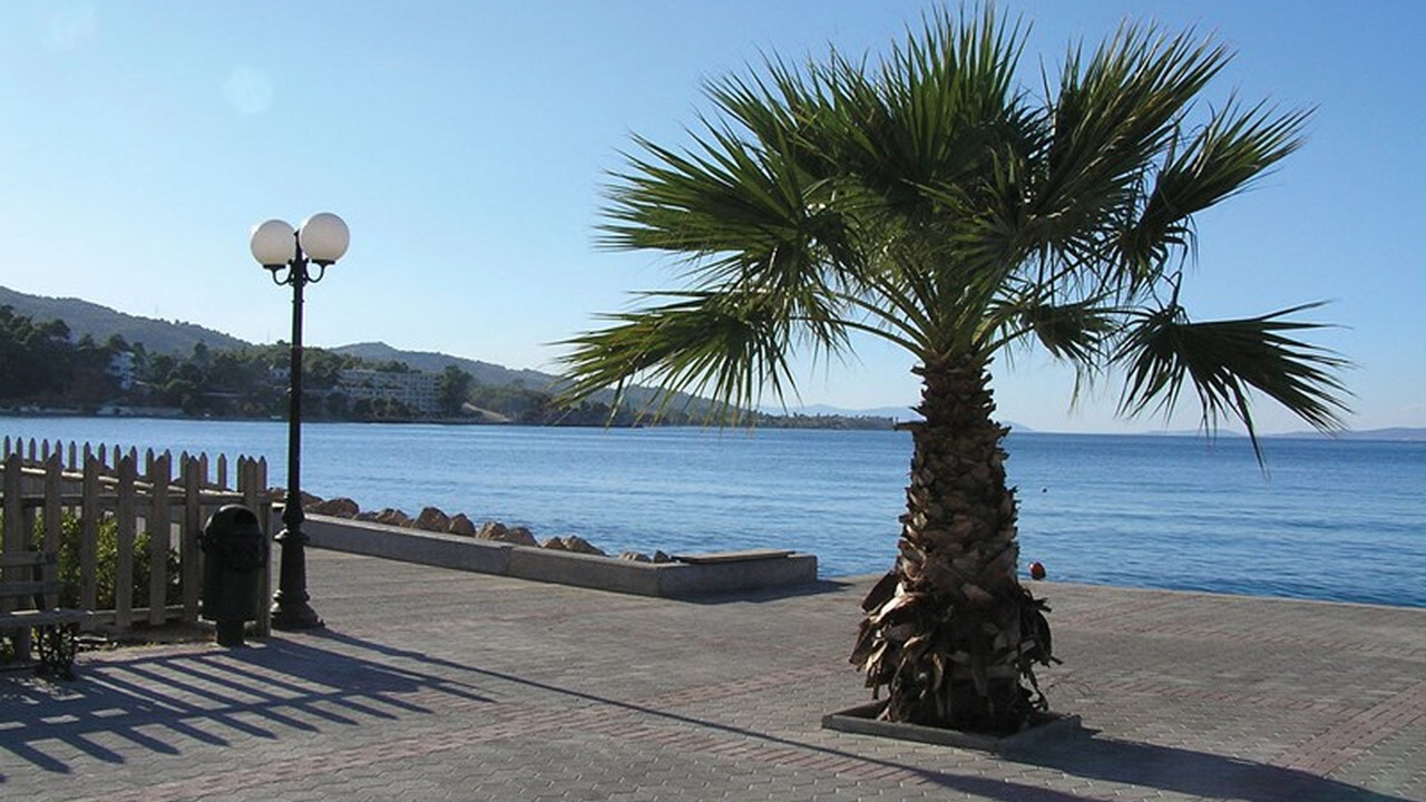 Dolphin Resort & Conference