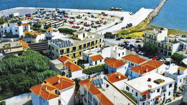 Dolphin (Skopelos)