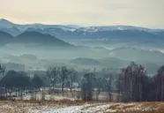 Dom Góry Las