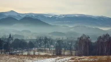 Dom Góry Las