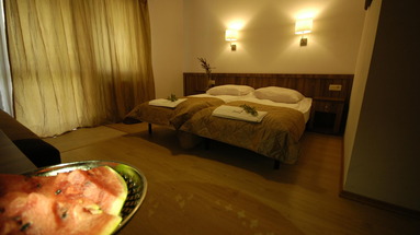 Dom na Skale