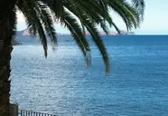 Dom Pedro Madeira Ocean Beach