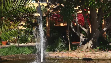 Dom Pedro Vilamoura