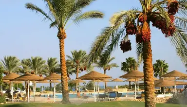 Domina Coral Bay El Sultan