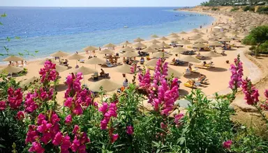 Domina Coral Bay Harem