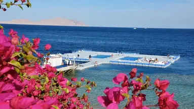 Domina Coral Bay Harem