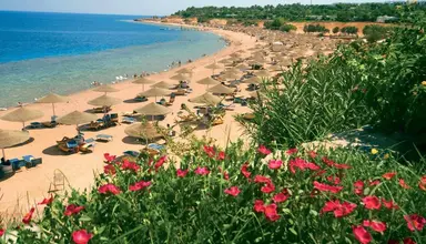 Domina Coral Bay Oasis