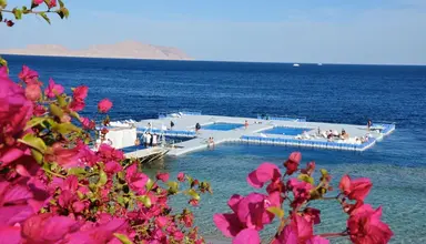 Domina Coral Bay Oasis