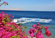 Domina Coral Bay Oasis
