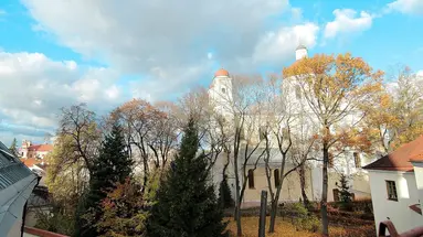 Domus Maria