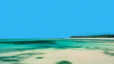 Dongwe Club