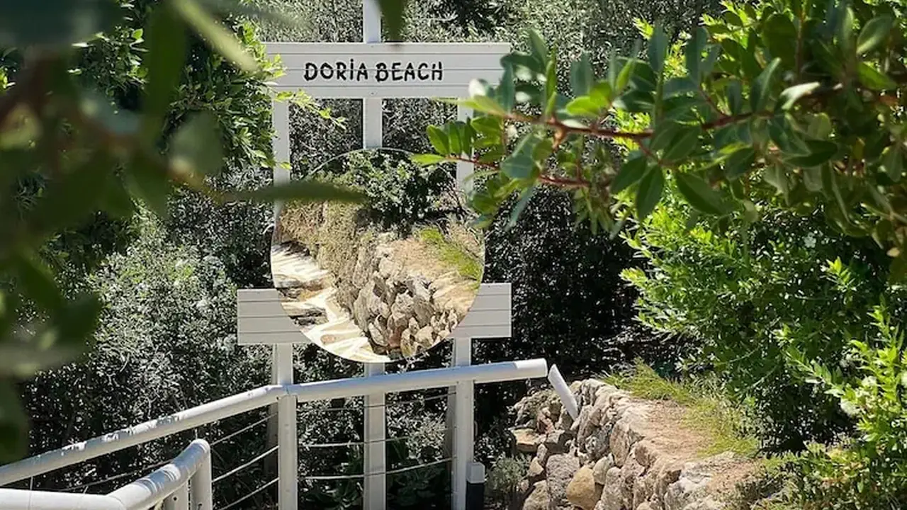 Doria
