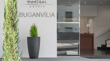 Dorisol Buganvilia