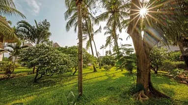 DoubleTree by Hilton Zanzibar - Stone Town