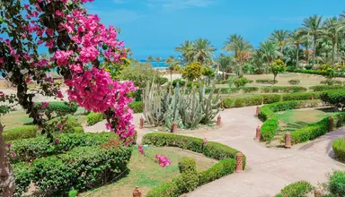 Dream Lagoon & Aqua Park Resort
