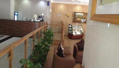 Dream Palace Deira