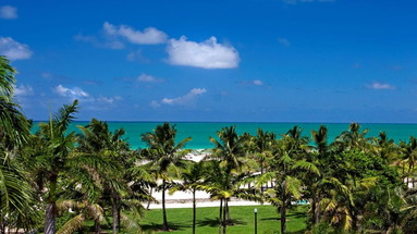 Dream South Beach