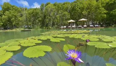 Dreamland - The Unique Sea Lake Resort