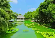 Dreamland - The Unique Sea Lake Resort