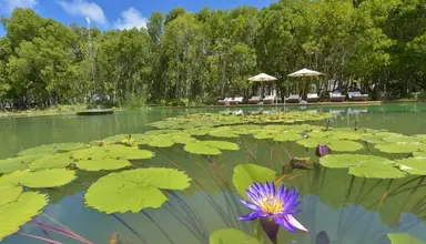 Dreamland - The Unique Sea Lake Resort