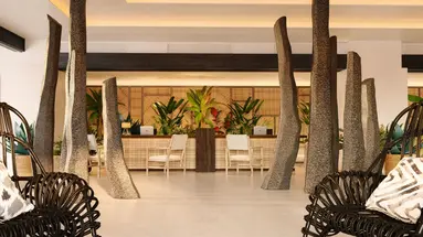 Dreams Jardin Tropical