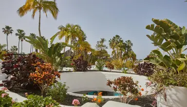 Dreams Jardin Tropical