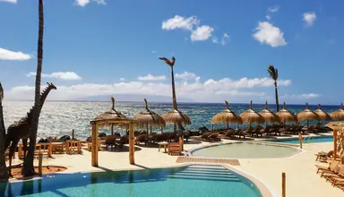 Dreams Jardin Tropical