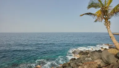 Dreams Jardin Tropical