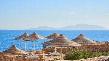 Dreams Vacation Sharm Resort