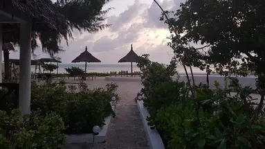 Driftwood Beach Lodge