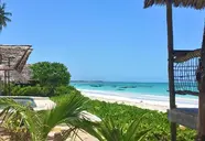 Driftwood Beach Lodge