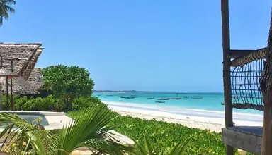 Driftwood Beach Lodge