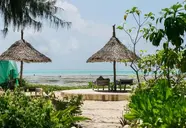 Driftwood Beach Lodge