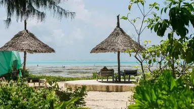Driftwood Beach Lodge