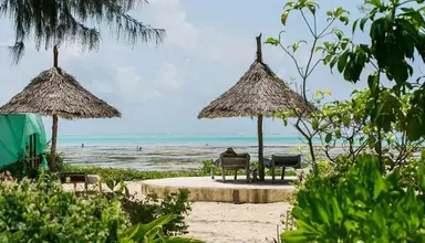 Driftwood Beach Lodge