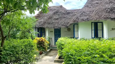 Driftwood Beach Lodge