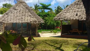 Driftwood Beach Lodge