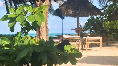 Driftwood Beach Lodge