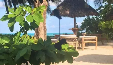 Driftwood Beach Lodge