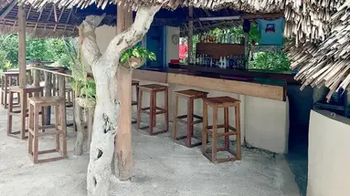 Driftwood Beach Lodge