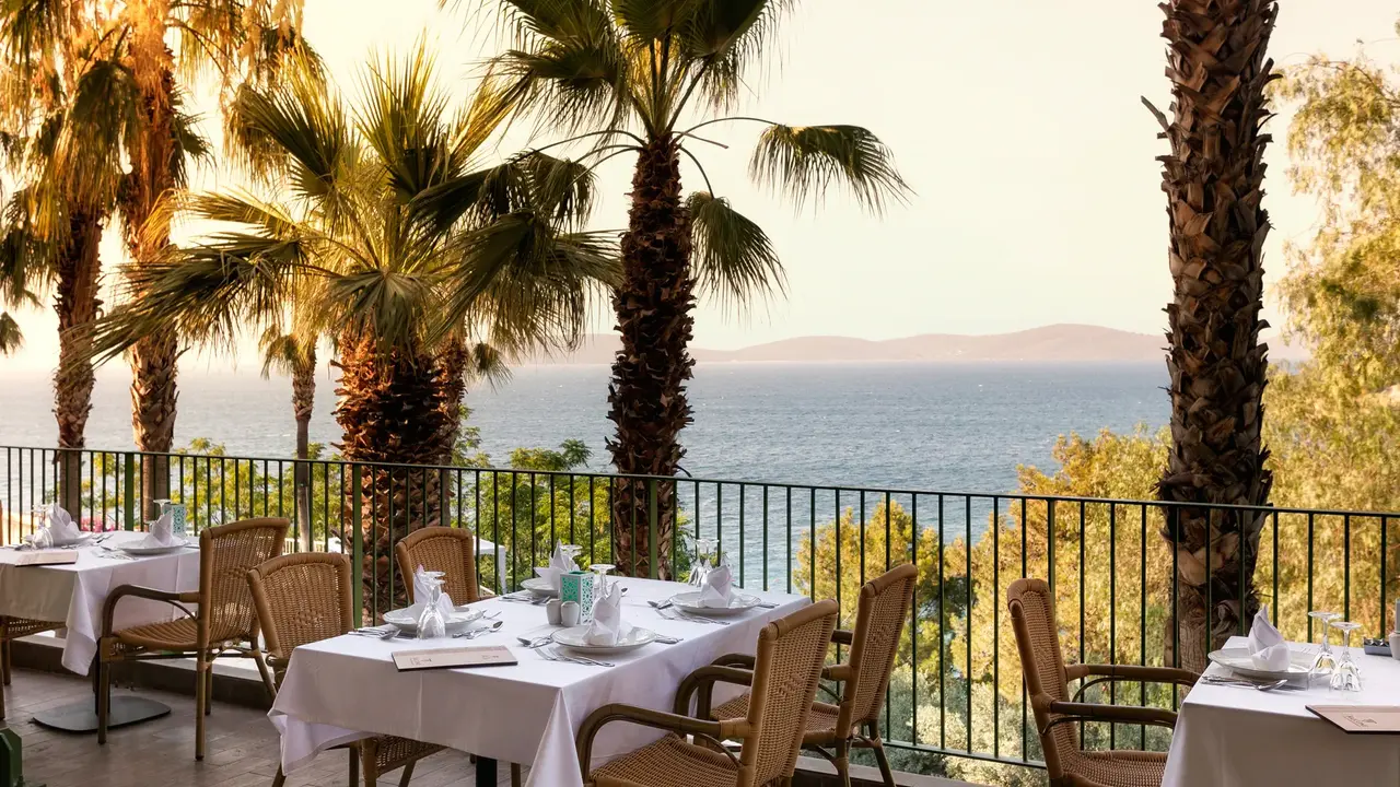 Duja Bodrum