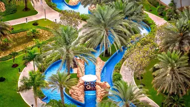 Dukes The Palm