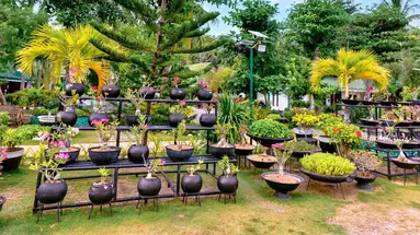 Dumaluan Beach Resort