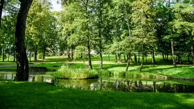 Dwór Kombornia - Folwark