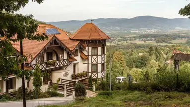 Dziki Potok