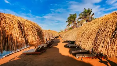 Eagles Down Town Zahabia Resort